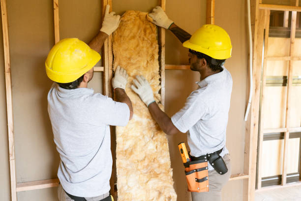 Types of Insulation We Offer in Aspermont, TX